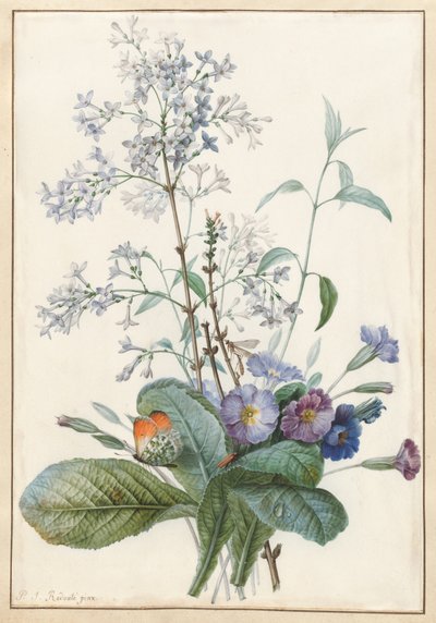 कीड़े के साथ फूलों का गुलदस्ता द्वारा Pierre Joseph Redouté
